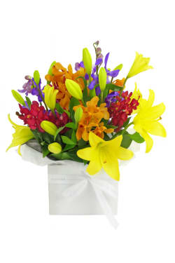 Making Magic - Mixed Brights