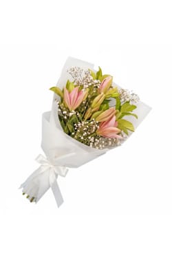 Lily Love 