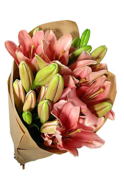 Lily Bunch