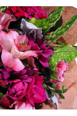 Mixed Posy - Standard