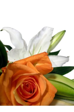 Roses and Oriental Lilies - Deluxe