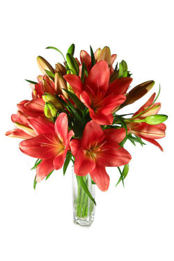 Lilies in a Vase - Standard