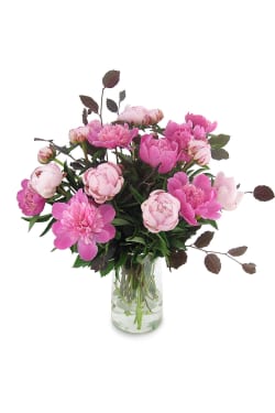 Peonies In A Vase - Standard
