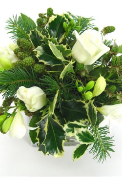 White Xmas - Standard