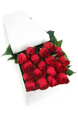 18 Elegant Roses - 18 Roses