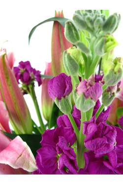 Scented Arrangement - Standard