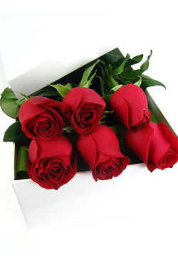Valentine's 6 Elegant Roses - 6 Roses (Half Dozen)