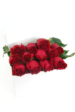 Valentine's 12 Elegant Roses - 12 Roses (One Dozen)