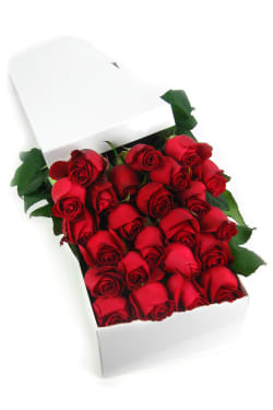Valentine's 24 Elegant Roses - 24 Roses (Two Dozen)