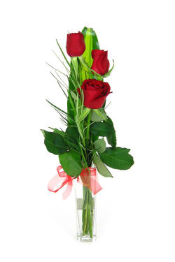 Valentine's 3 Roses in a vase - Standard