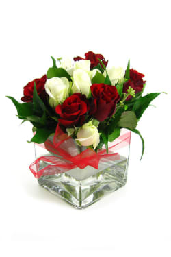 Valentine's Rose Vase - Standard