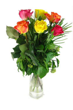 Valentine's mixed rose vase - 6 Roses (Half Dozen)