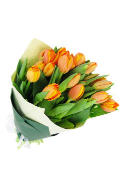 Tulip Bunch - Deluxe