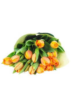 Tulip Bunch - Deluxe