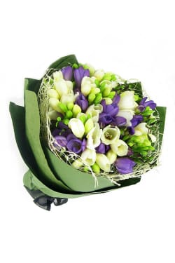 Freesia Bunch - Standard
