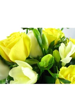 Roses and Freesias boxed - Standard