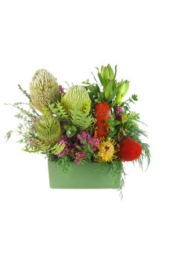 Modern Wildflowers - Standard
