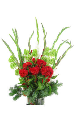 Christmas Tidings - Standard