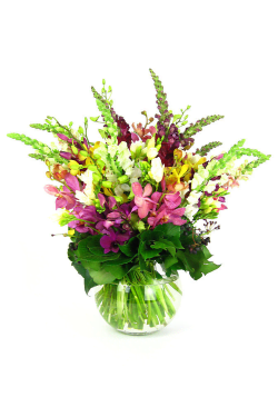 Tropical Garden - Standard