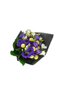 Regal Rocher - Standard