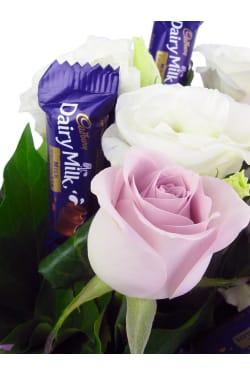 Sumptuous - Standard