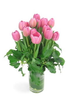 Tulip vase - Standard