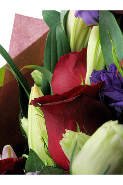 Elegant Sheaf - Standard