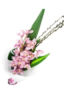 Cymbidium Orchid Bouquet - Standard