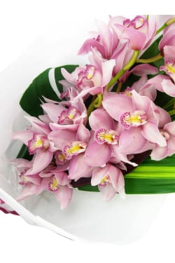 Cymbidium Orchid Bouquet - Standard