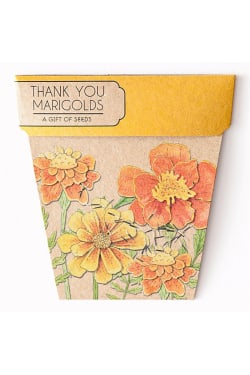 Marigold Seeds - Thank you - Standard