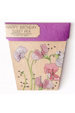 Sweet Pea - Happy Birthday - Standard