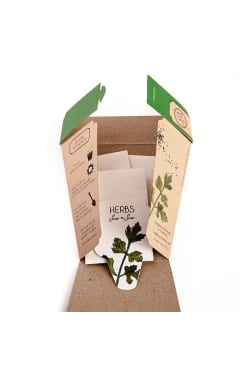 Trio of Herb Seeds - Standard