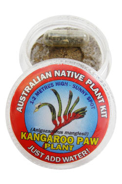 Kangeroo Paw Seed Kit - Standard