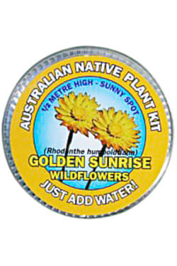 Golden Wildflowers Seed Kit - Standard