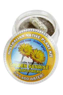 Golden Wildflowers Seed Kit - Standard