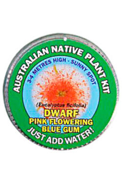Pink Flowering Gum Seed Kit - Standard