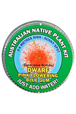 Pink Flowering Gum Seed Kit - Standard