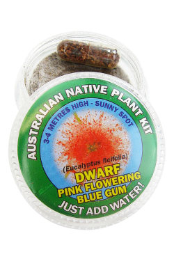 Pink Flowering Gum Seed Kit - Standard