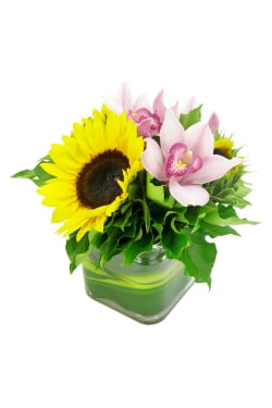 Sunflowers and Cymbidium vase - Standard