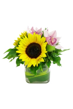 Sunflowers and Cymbidium vase - Standard