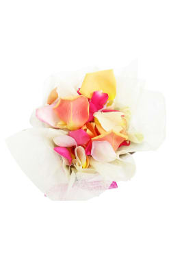 Mixed Rose Petals - Small - Standard