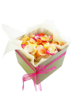 Mixed Rose Petals - Large - Deluxe