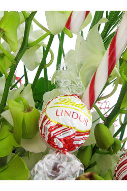 Christmas Treat - Standard