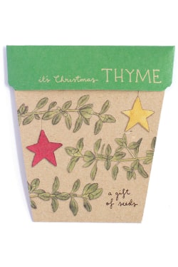 Christmas Thyme Seeds - Standard