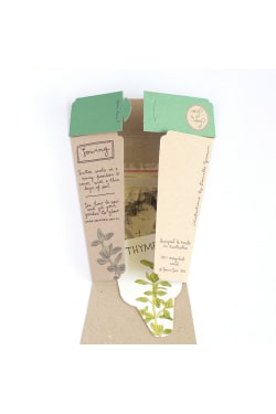Christmas Thyme Seeds - Standard