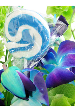 Blue Swirl - Standard