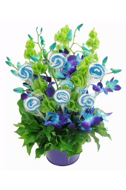 Blue Swirl - Standard