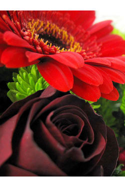 Red festive posy - Standard