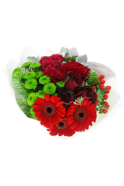 Red festive posy - Standard