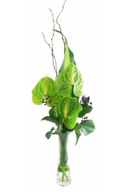 Antherium Bud Vase - Standard